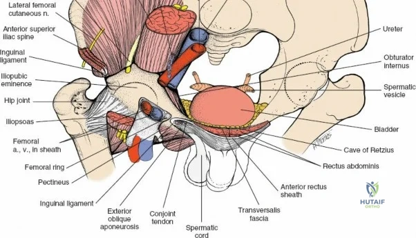 Clinical Image