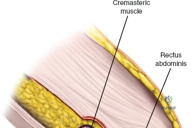 Clinical Image