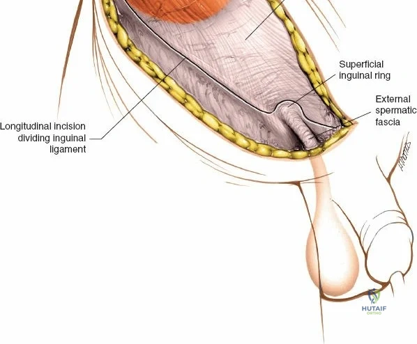 Clinical Image