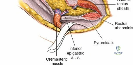 Clinical Image