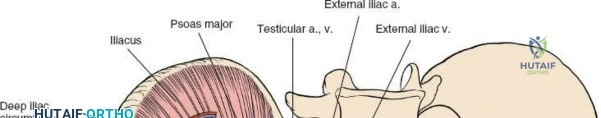 Clinical Image