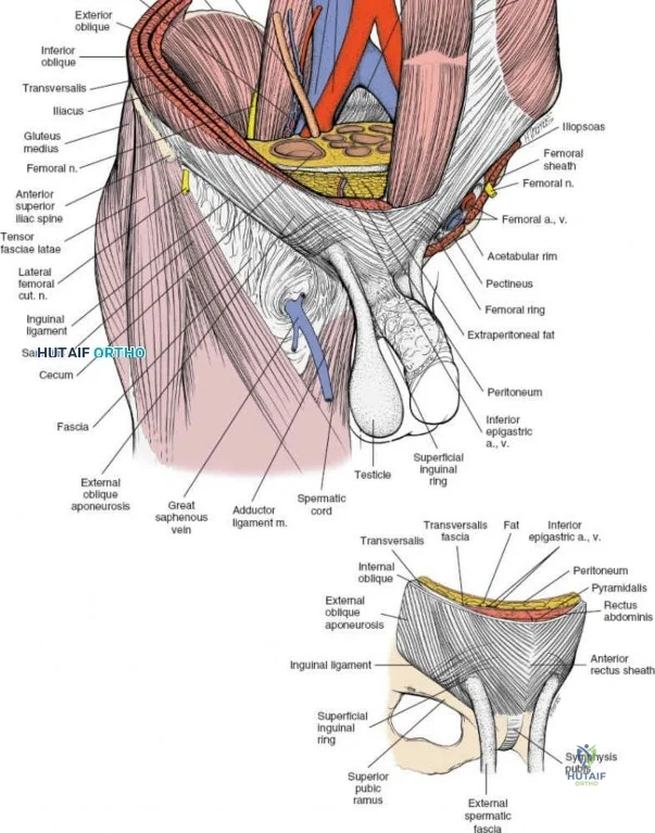 Clinical Image