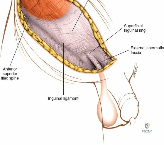 Clinical Image