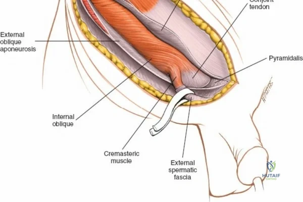 Clinical Image