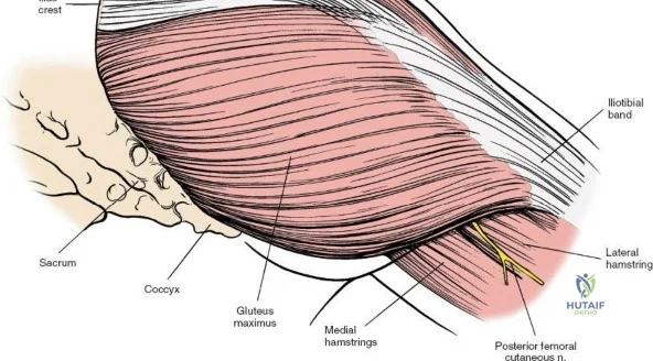 Clinical Image