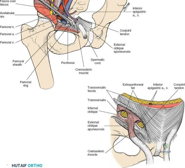 Clinical Image