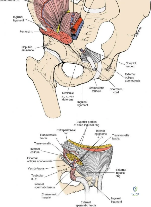 Clinical Image