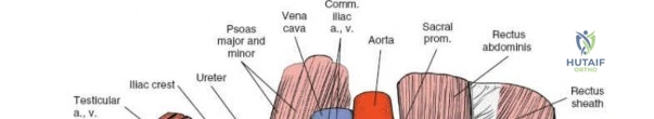 Clinical Image