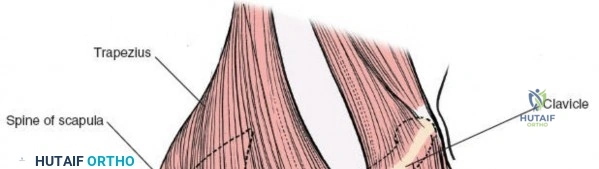 Clinical Image