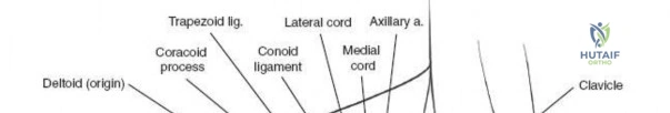 Clinical Image