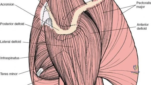 Clinical Image