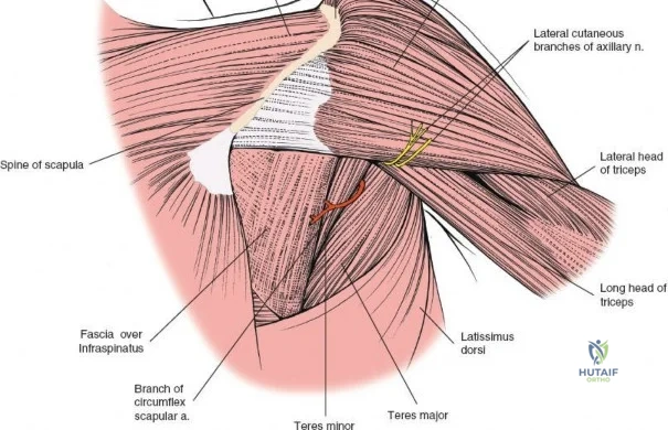 Clinical Image