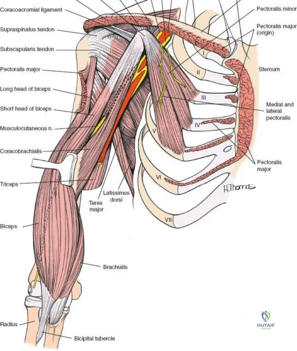 Clinical Image