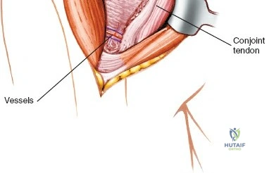 Clinical Image