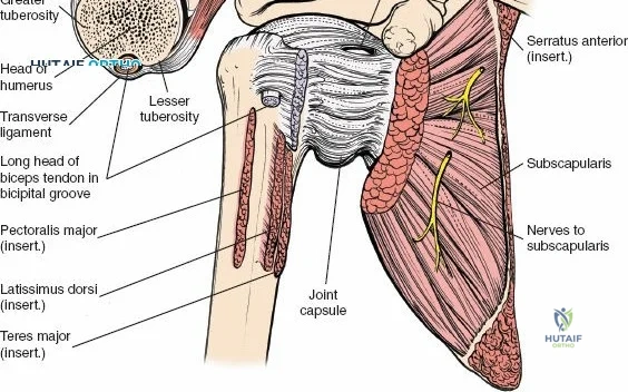 Clinical Image