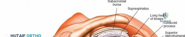 Clinical Image