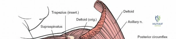 Clinical Image