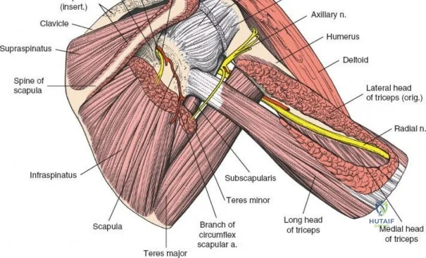 Clinical Image