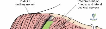 Clinical Image