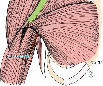 Clinical Image