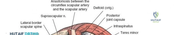 Clinical Image