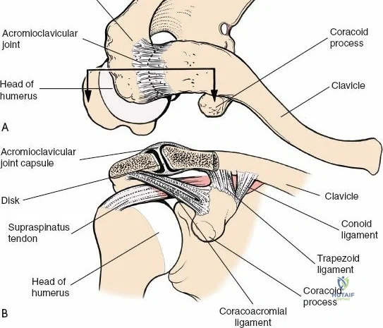 Clinical Image