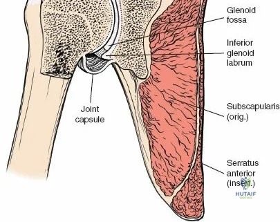 Clinical Image
