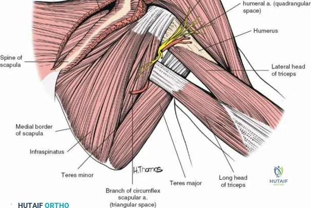 Clinical Image