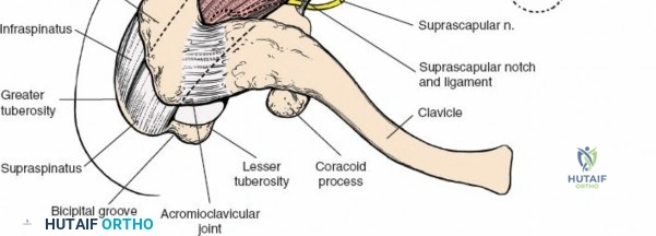 Clinical Image