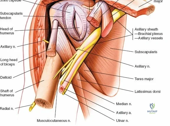 Clinical Image