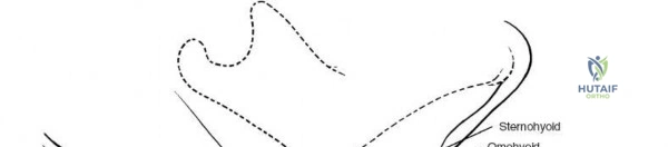 Clinical Image