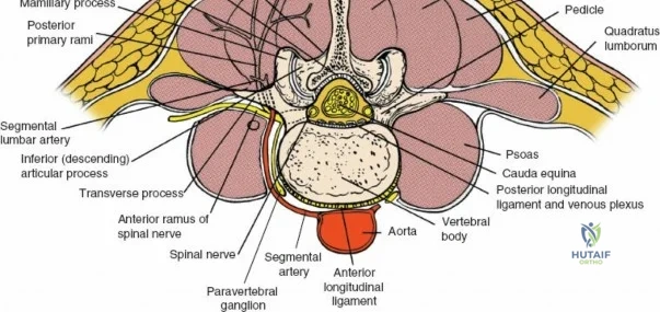 Clinical Image