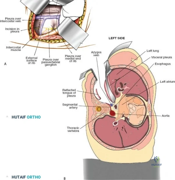 Clinical Image