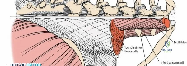 Clinical Image