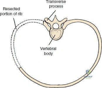 Clinical Image