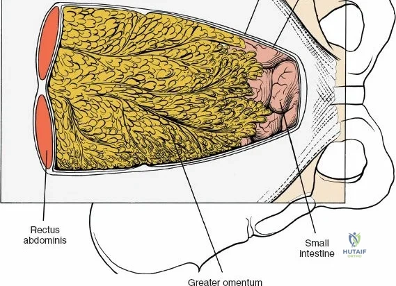 Clinical Image