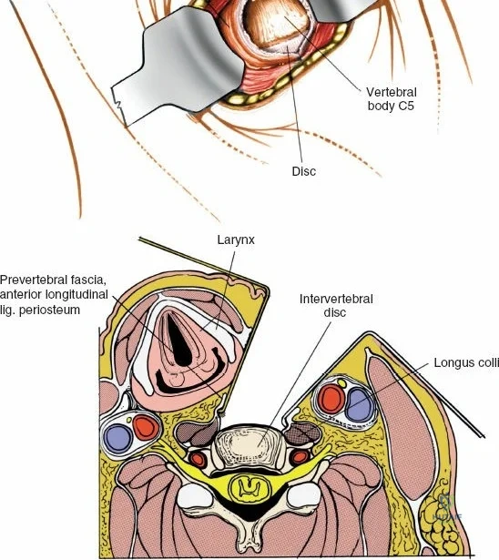 Clinical Image