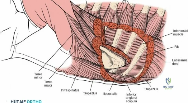 Clinical Image