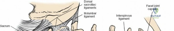 Clinical Image