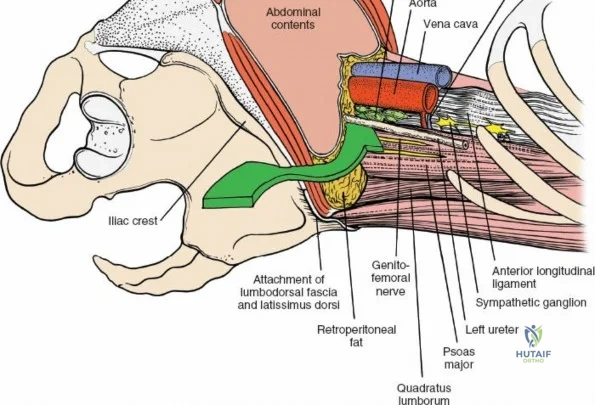 Clinical Image