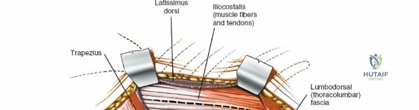 Clinical Image
