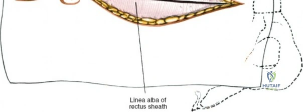 Clinical Image