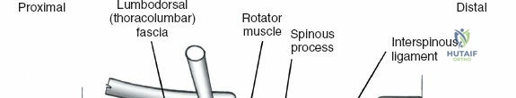 Clinical Image