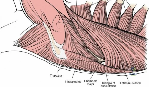Clinical Image