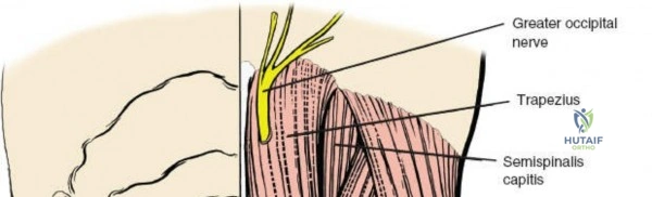 Clinical Image