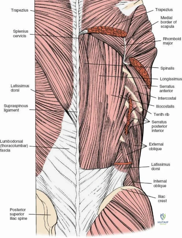 Clinical Image