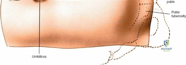 Clinical Image