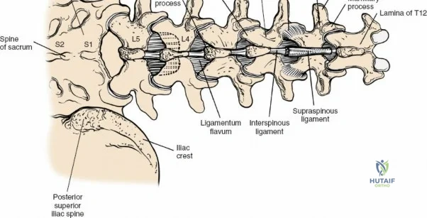 Clinical Image