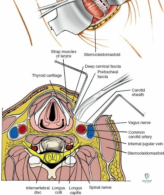 Clinical Image