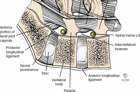 Clinical Image